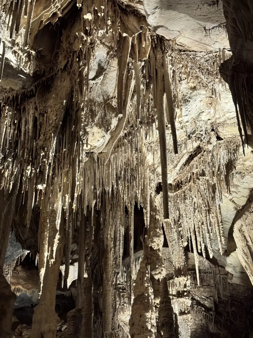 Dense stalactites, stalagmites, and cave columns in warm light inside Lehman Caves, Great Basin National Park, Nevada