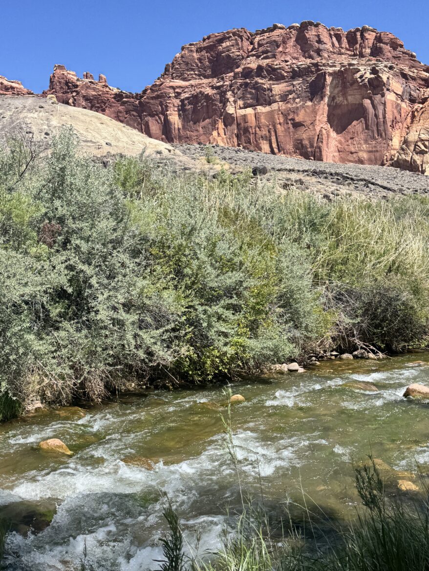The Fremont River with the Capitol Reef National Park colorful backdrop.